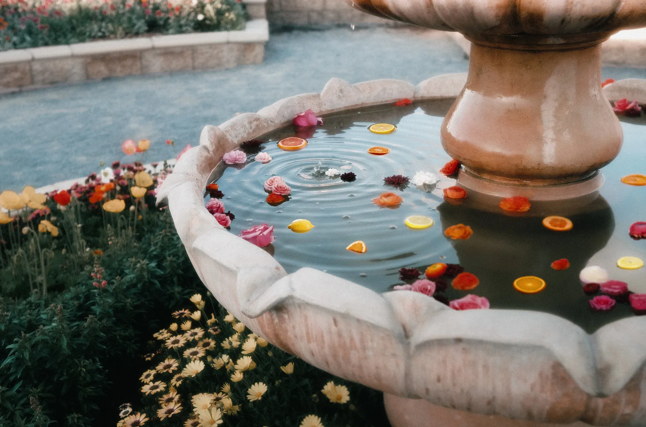 Citrus slices and flowers floating in a stone fountain