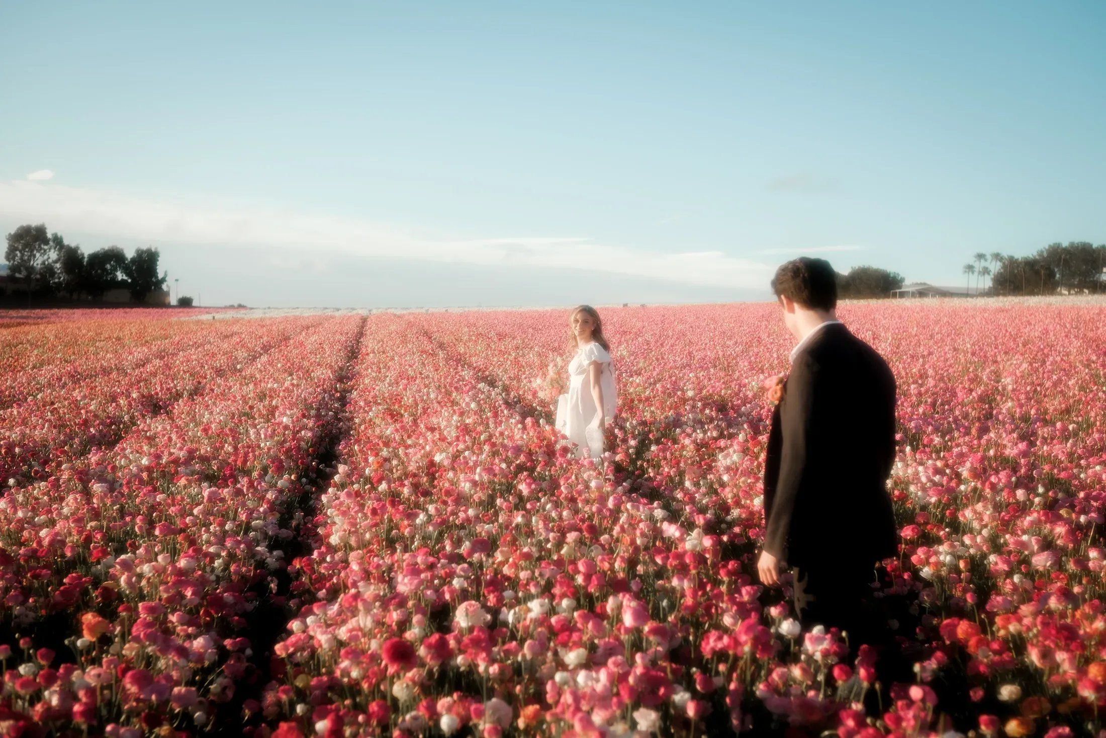 A couple moving toward one another through rows of flowers