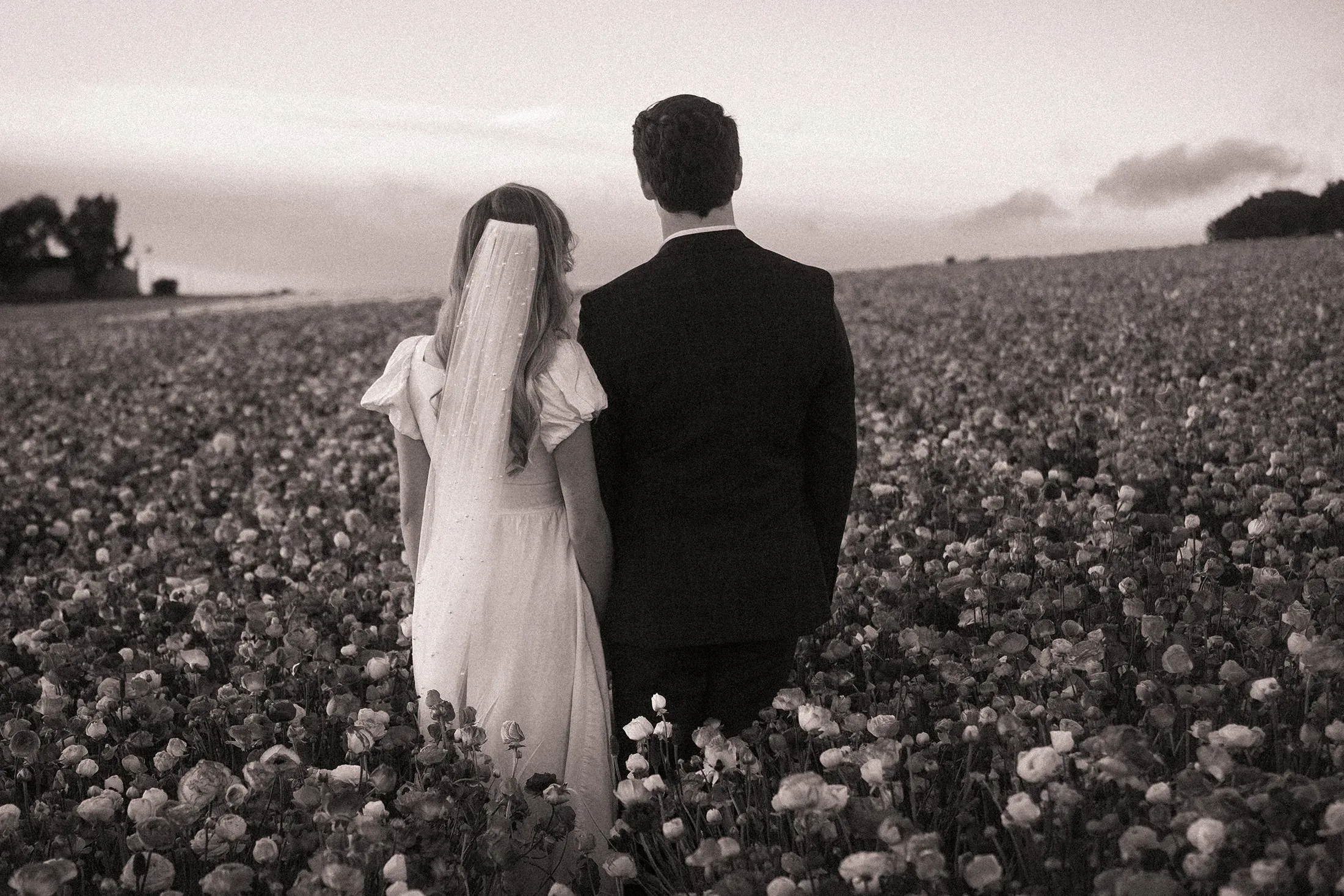 A couple viewed from behind in a flower field