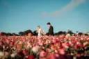 A couple walking together through a flower field